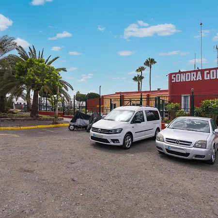 Dreams מספאלומס