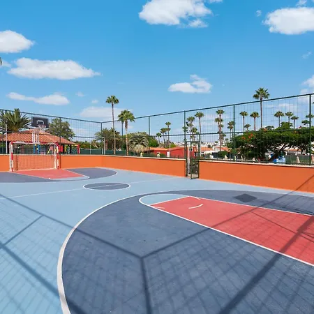 Dreams מספאלומס